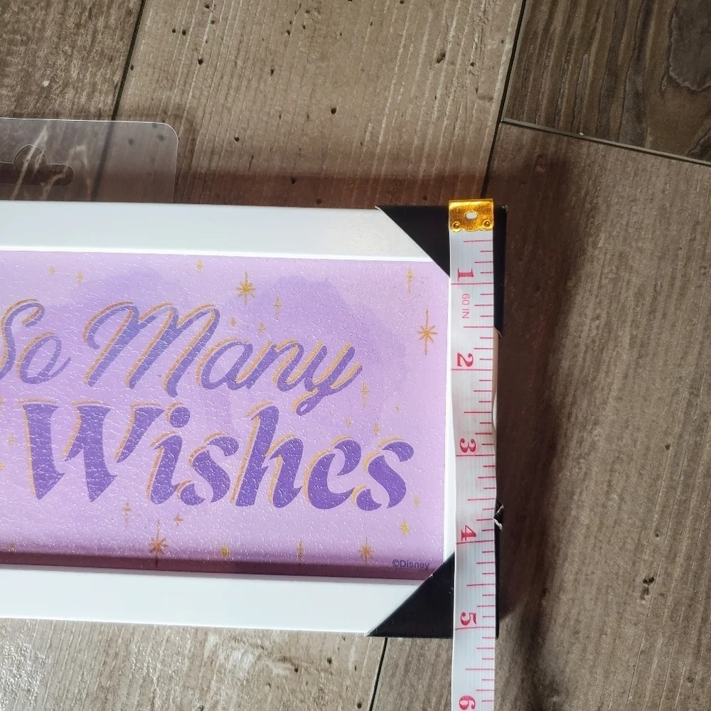 Disney nwt wish